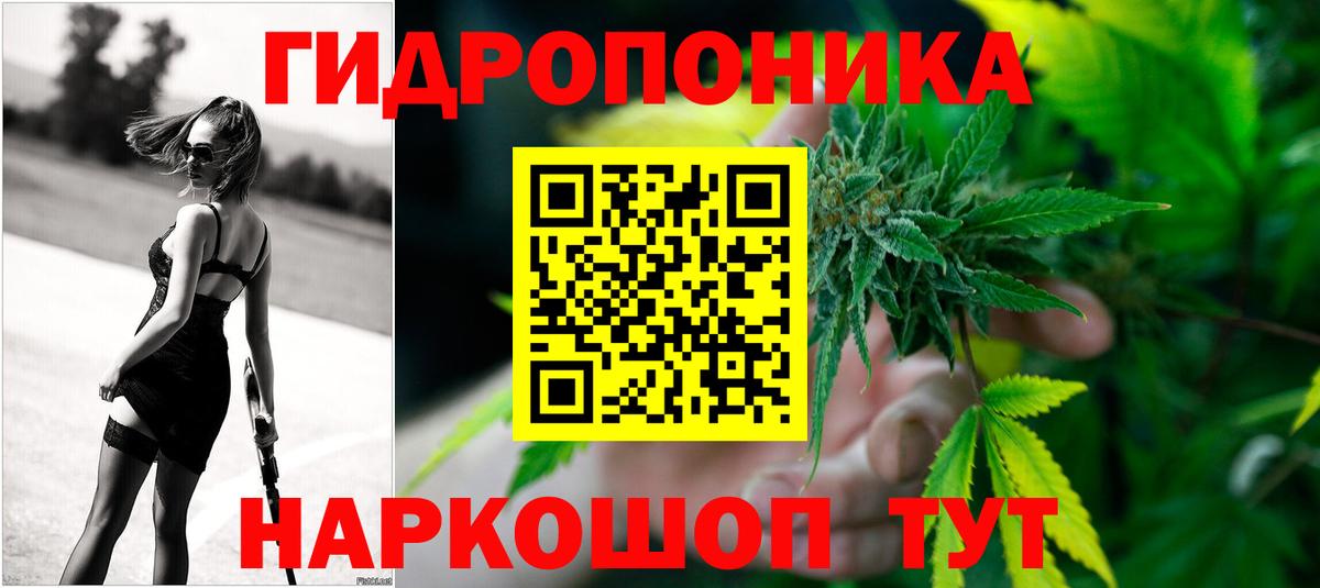 Бошки Шишки индика Кольчугино